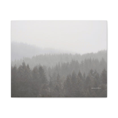 Forest, Matte Canvas, Stretched, 1.25"