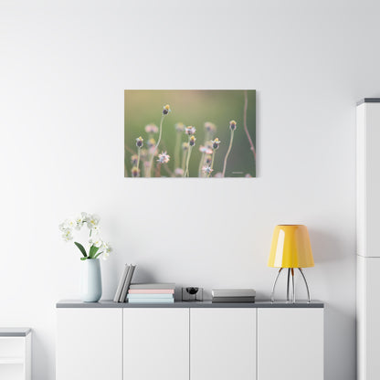 Floral, Matte Canvas, Stretched, 1.25"