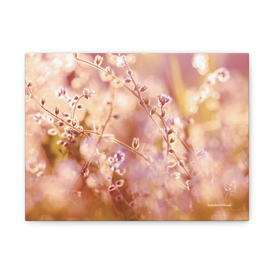 Floral, Matte Canvas, Stretched, 1.25"