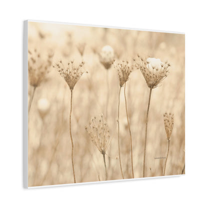 Floral, Matte Canvas, Stretched, 1.25"