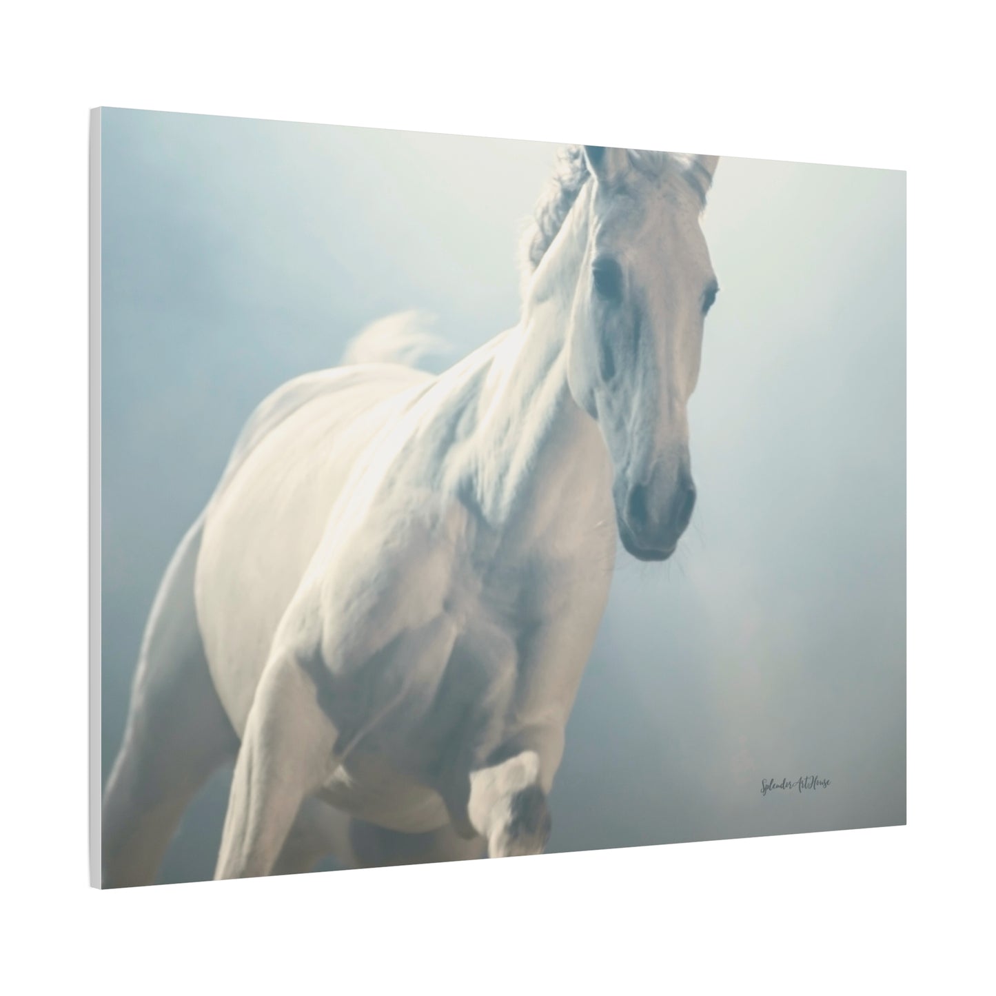 Horse, Matte Canvas, Stretched, 1.25"