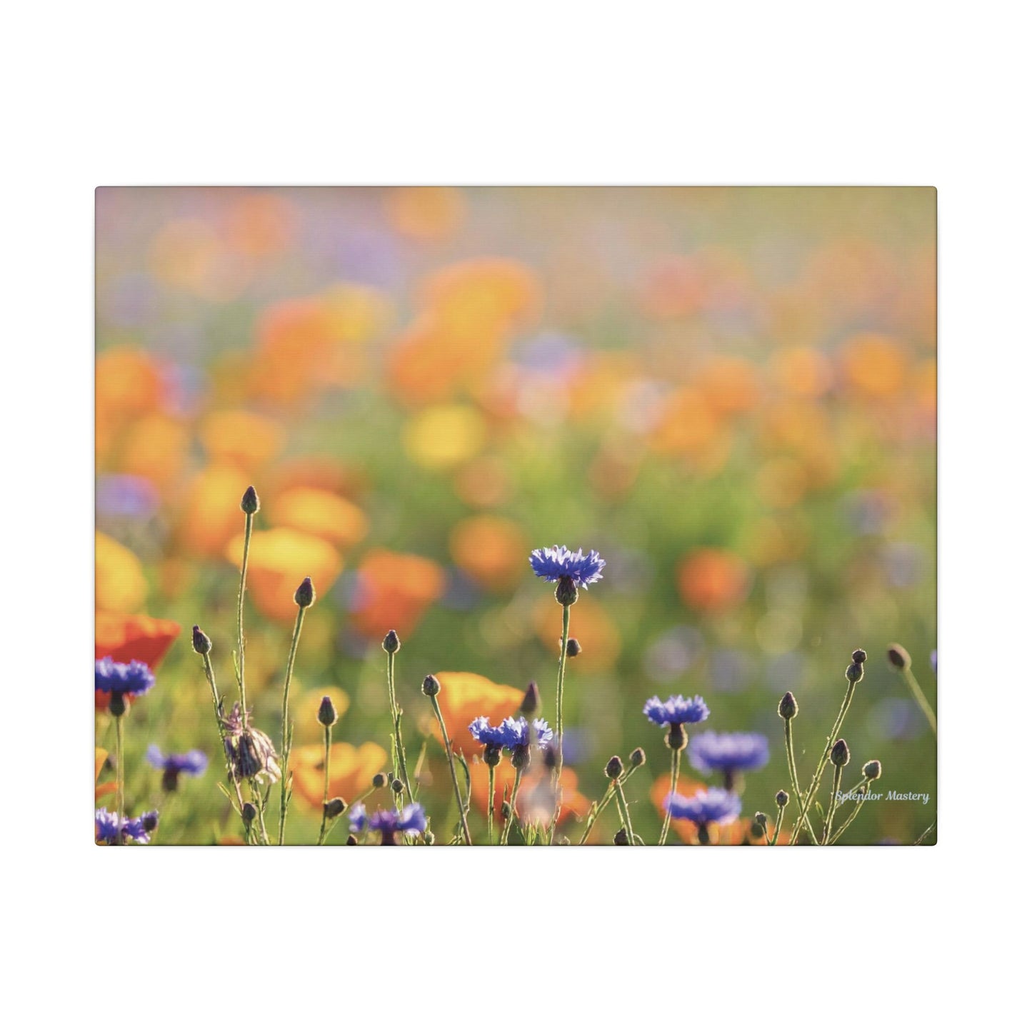 Floral, Matte Canvas, Stretched, 0.75"