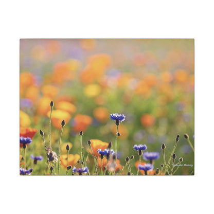 Floral, Matte Canvas, Stretched, 0.75"