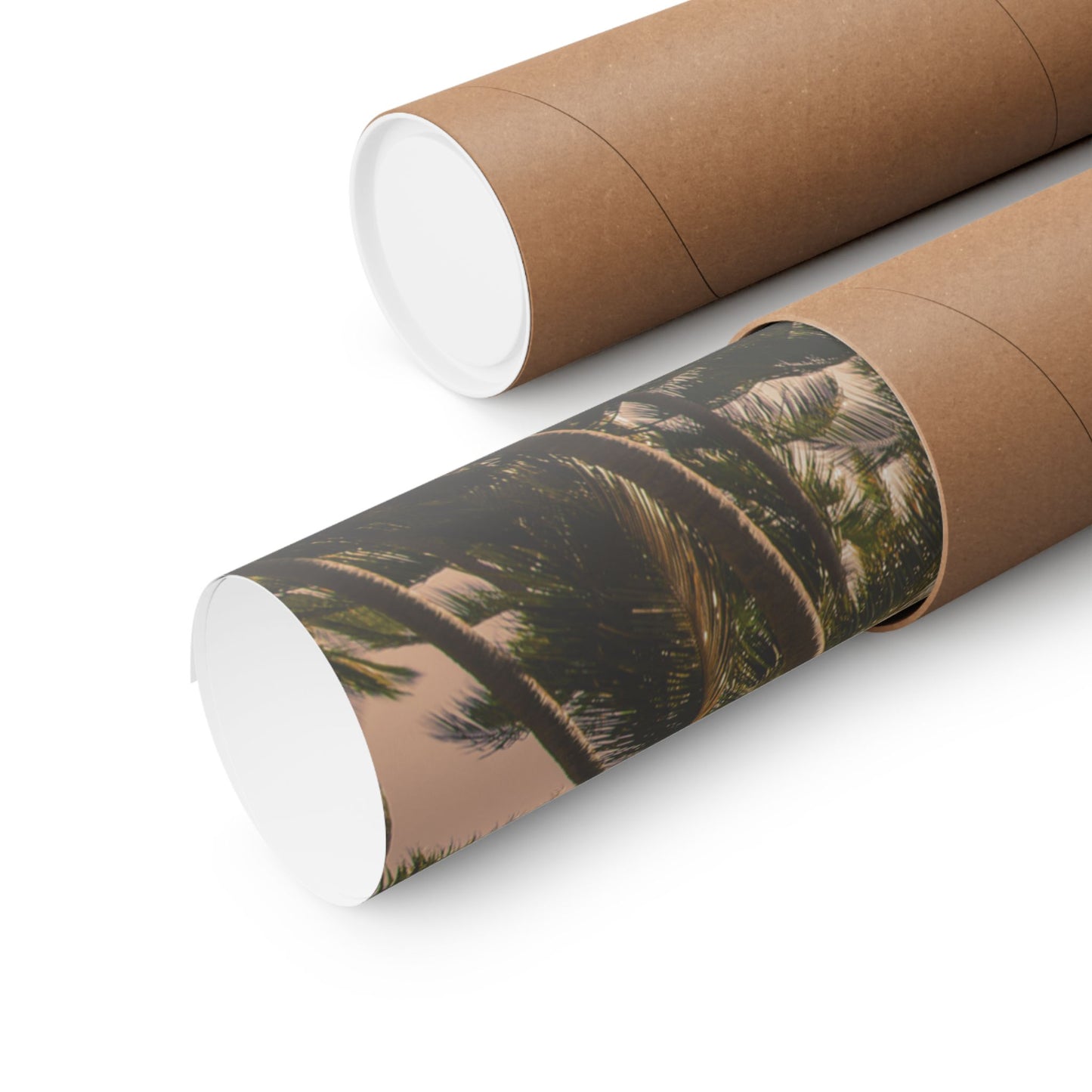 Palm Trees, Matte Horizontal Poster
