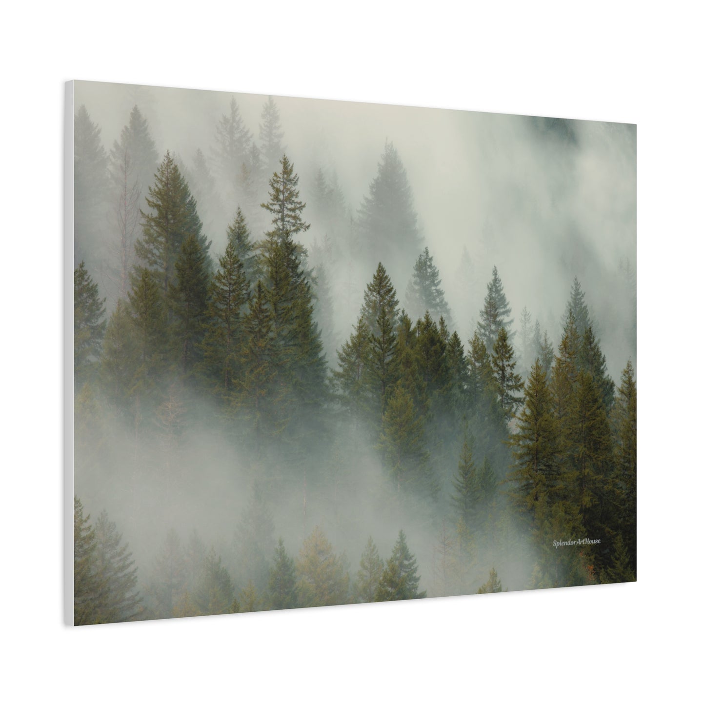 Forest, Matte Canvas, Stretched, 1.25"