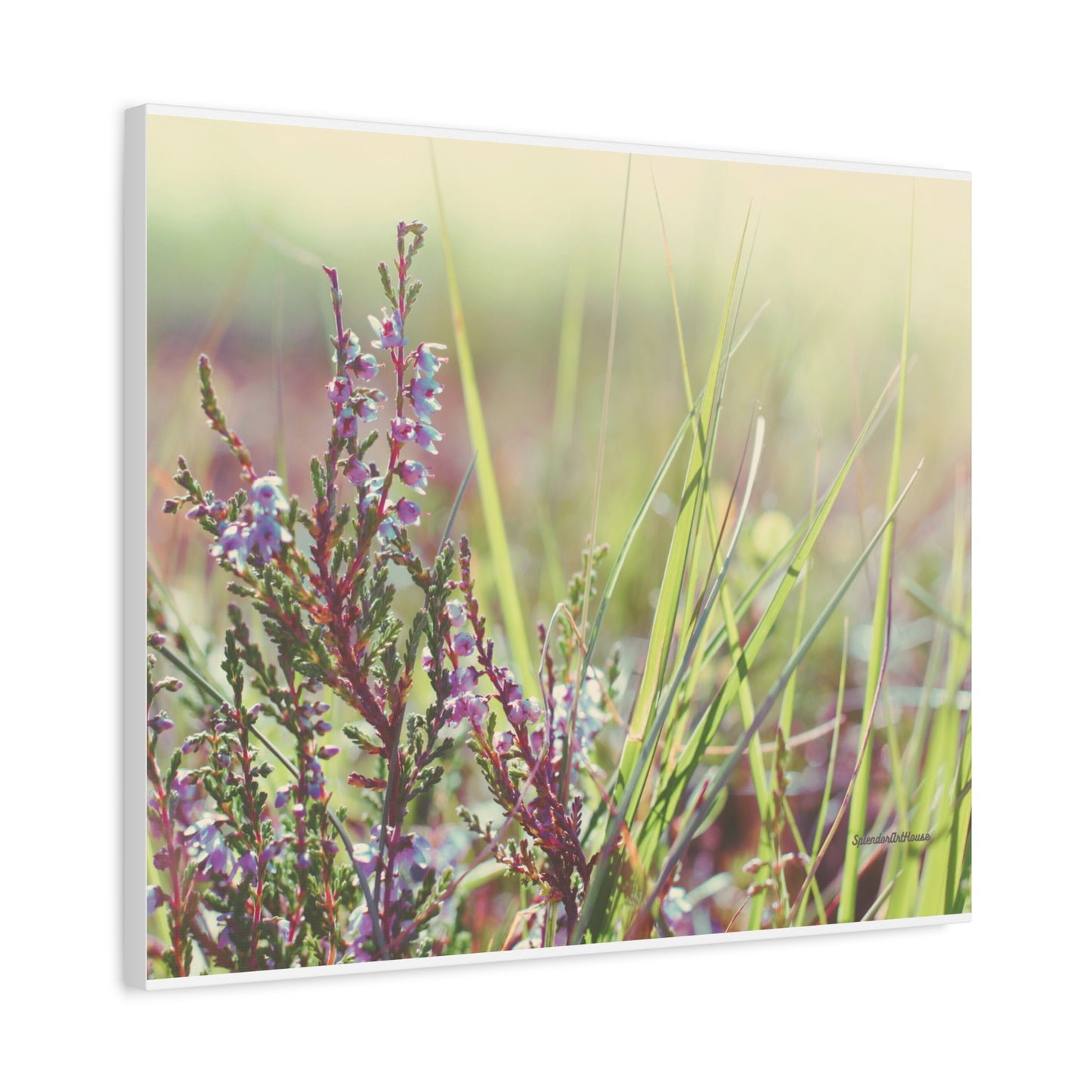 Floral, Matte Canvas, Stretched, 1.25"