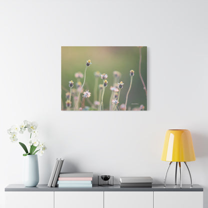 Floral, Matte Canvas, Stretched, 1.25"