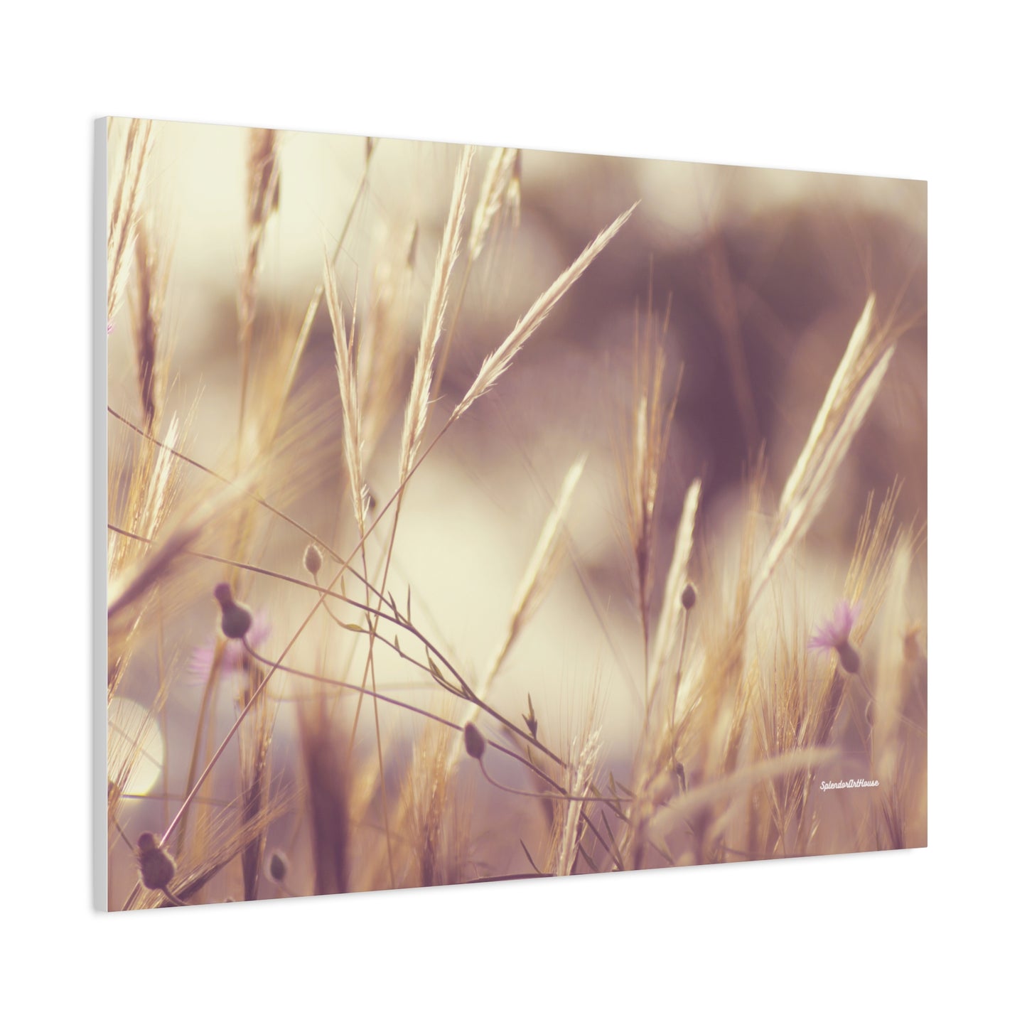 Grass, Matte Canvas, Stretched, 1.25"