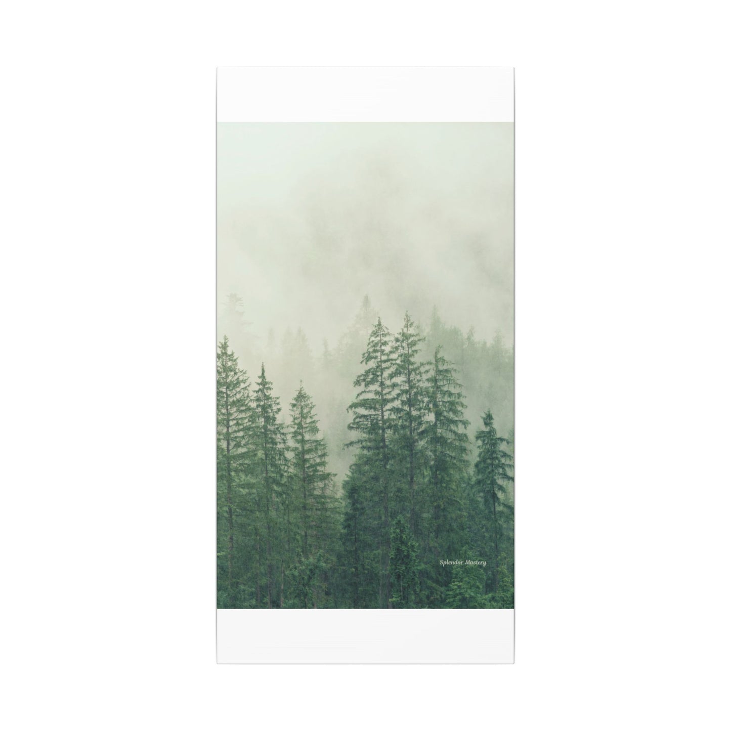 Forest Trees, Matte Canvas, Stretched, 0.75"