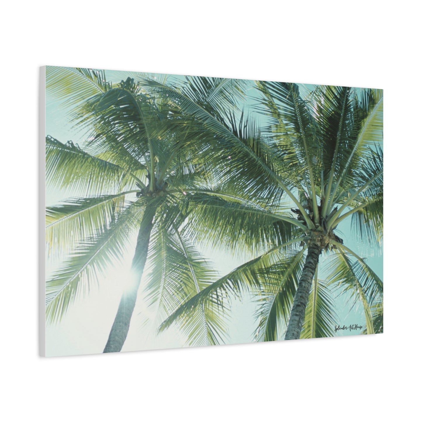 Palm Trees, Matte Canvas, Stretched, 1.25"