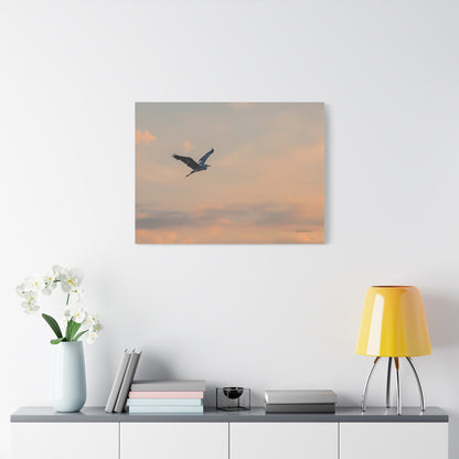 Bird, Matte Canvas, Stretched, 1.25"