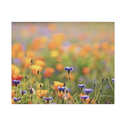 Floral, Matte Canvas, Stretched, 0.75"