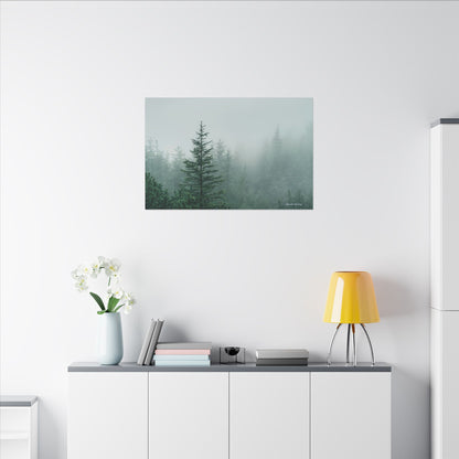 Forest Trees, Matte Canvas, Stretched, 0.75"