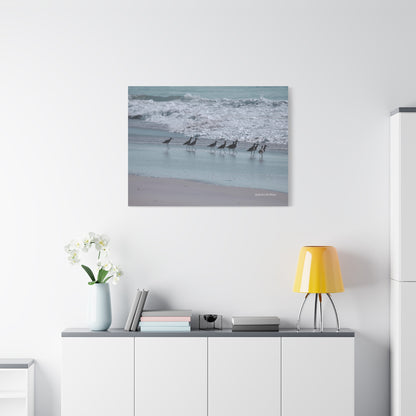 Birds, Matte Canvas, Stretched, 1.25"