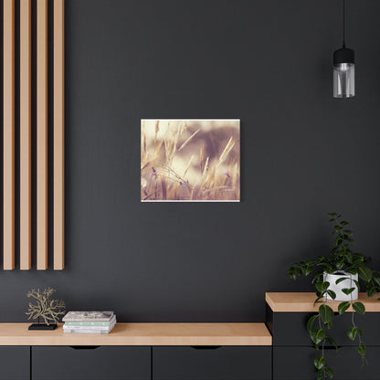 Grass, Matte Canvas, Stretched, 1.25"