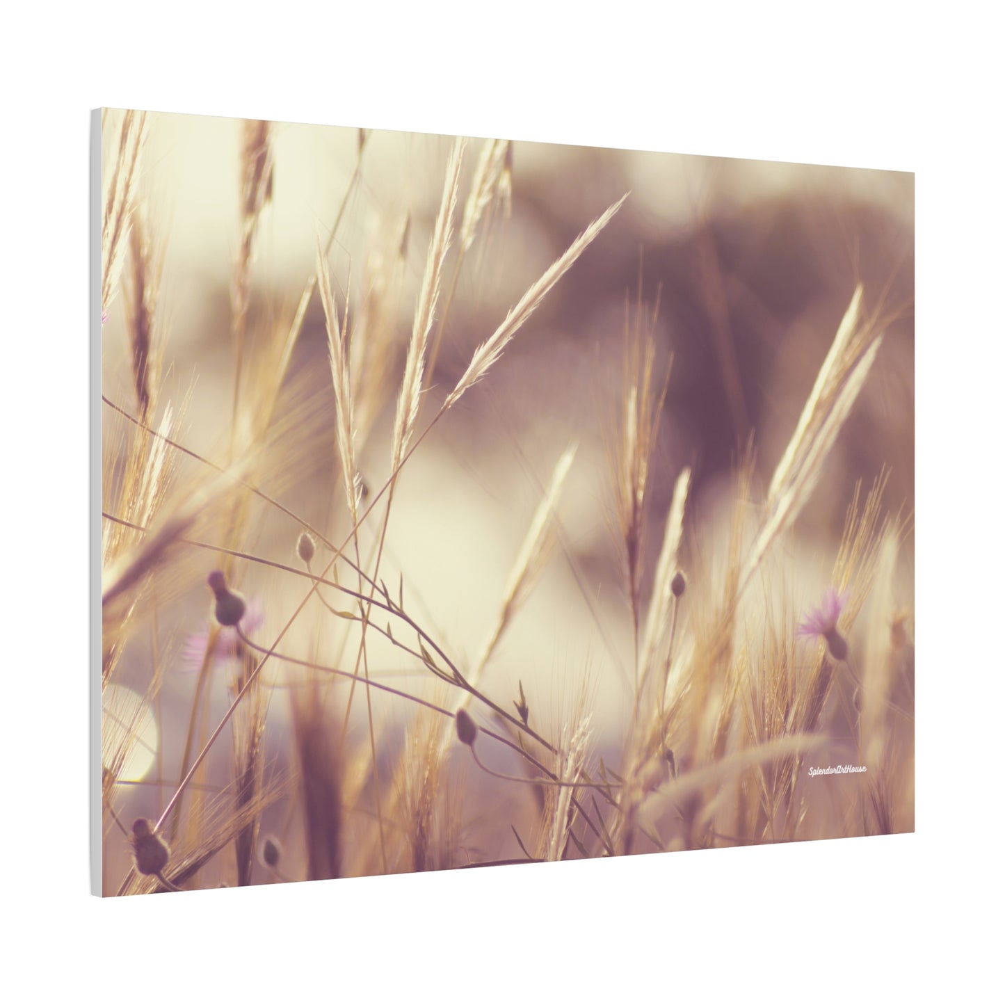 Grass, Matte Canvas, Stretched, 1.25"