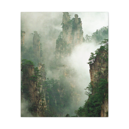 Forest, Matte Canvas, Stretched, 1.25"