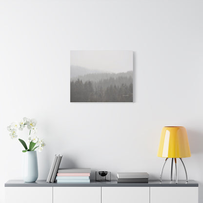 Forest, Matte Canvas, Stretched, 1.25"