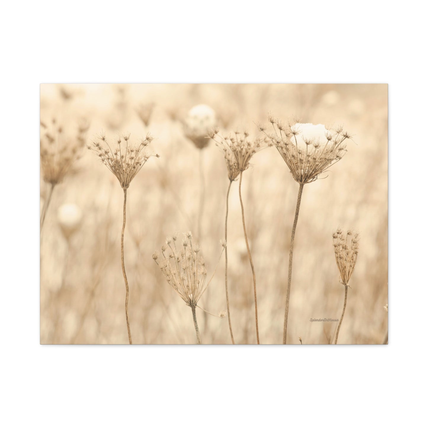 Floral, Matte Canvas, Stretched, 1.25"