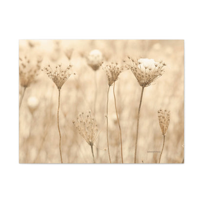 Floral, Matte Canvas, Stretched, 1.25"