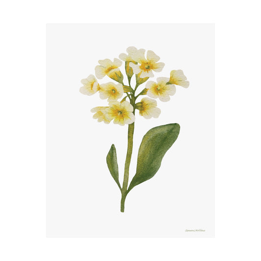 Floral, Matte Vertical Poster