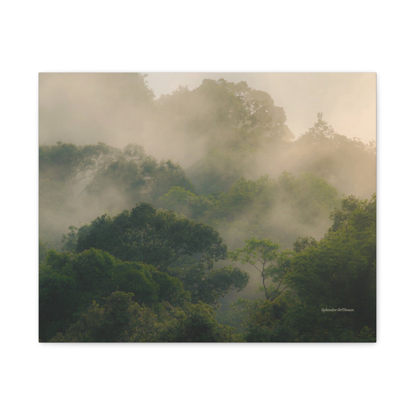 Forest, Matte Canvas, Stretched, 1.25"