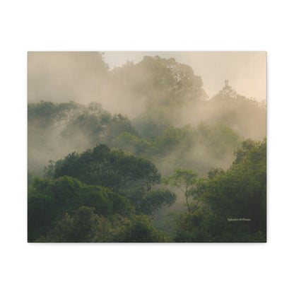 Forest, Matte Canvas, Stretched, 1.25"