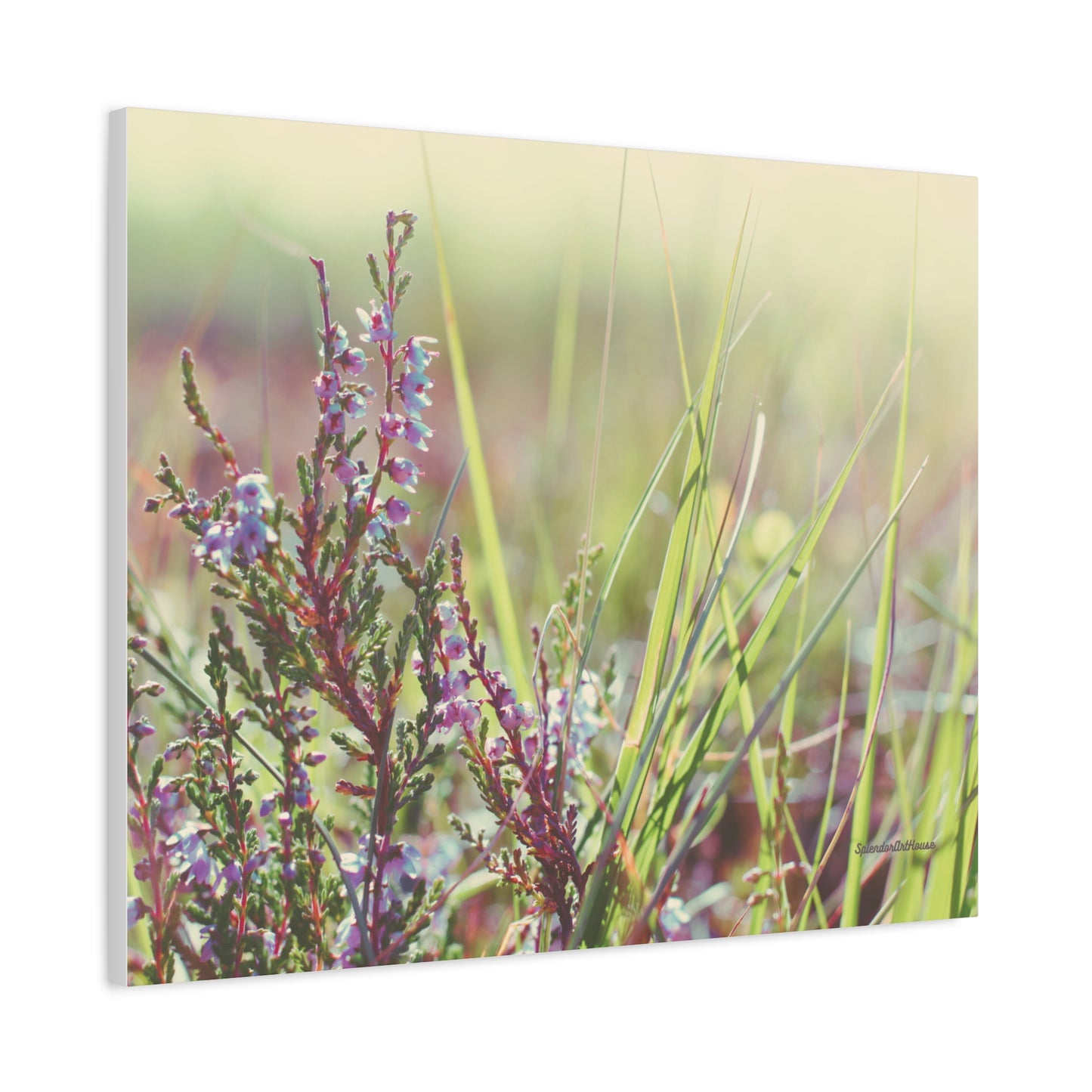 Floral, Matte Canvas, Stretched, 1.25"