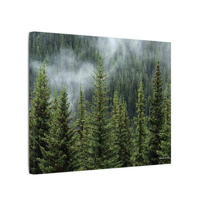 Trees, Matte Canvas, Stretched, 0.75"