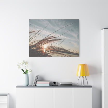 Grass, Matte Canvas, Stretched, 1.25"