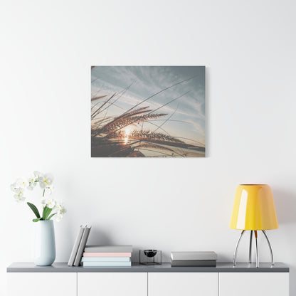 Grass, Matte Canvas, Stretched, 1.25"