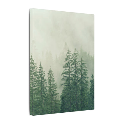 Forest Trees, Matte Canvas, Stretched, 0.75"