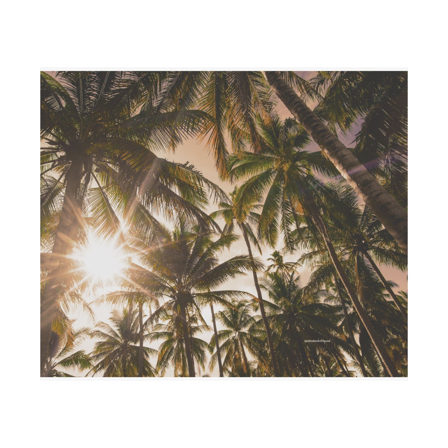 Palm Trees, Matte Horizontal Poster