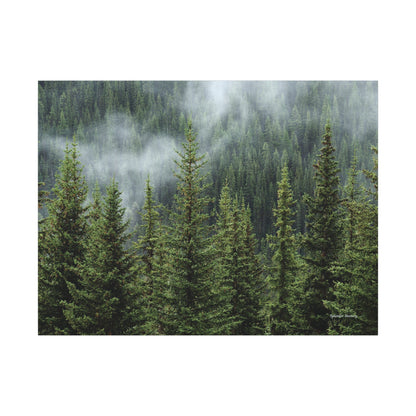 Trees, Matte Canvas, Stretched, 0.75"