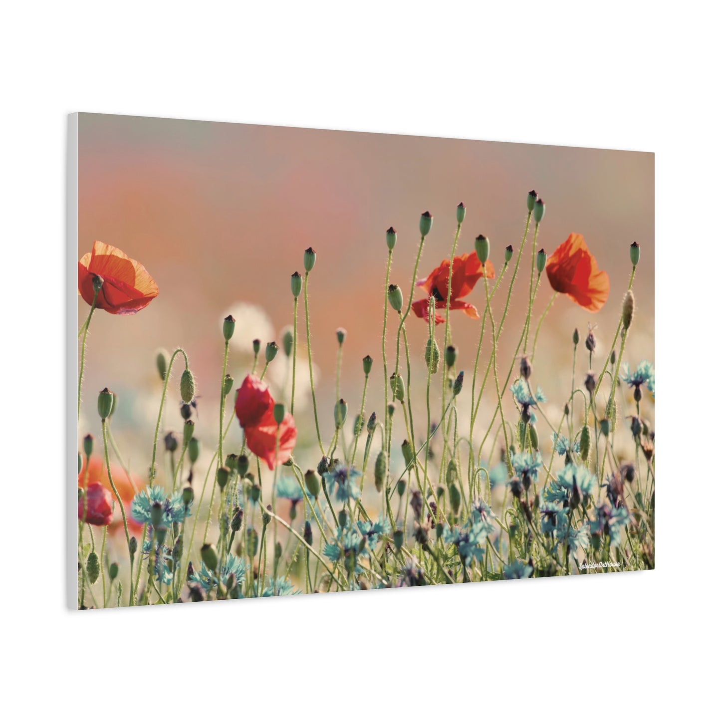Floral, Matte Canvas, Stretched, 1.25"