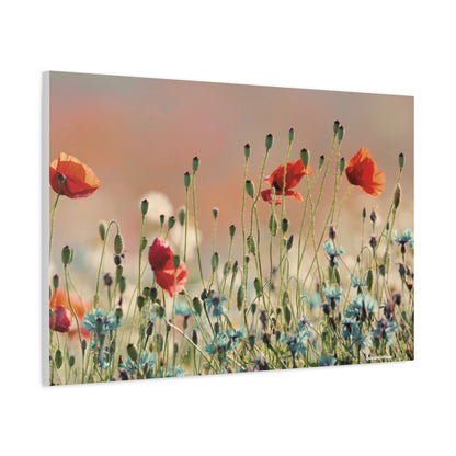 Floral, Matte Canvas, Stretched, 1.25"