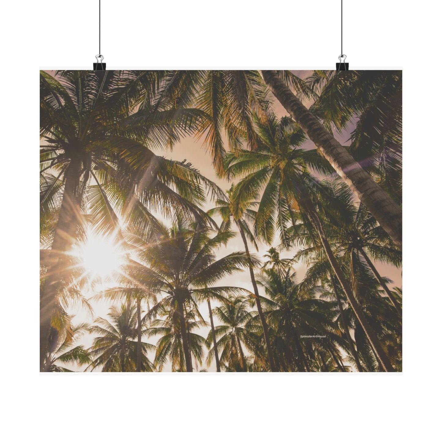 Palm Trees, Matte Horizontal Poster