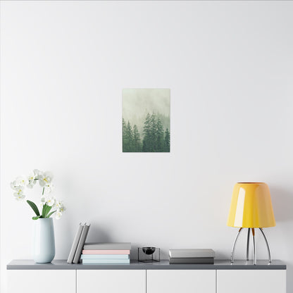 Forest Trees, Matte Canvas, Stretched, 0.75"