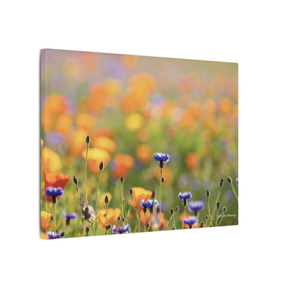 Floral, Matte Canvas, Stretched, 0.75"