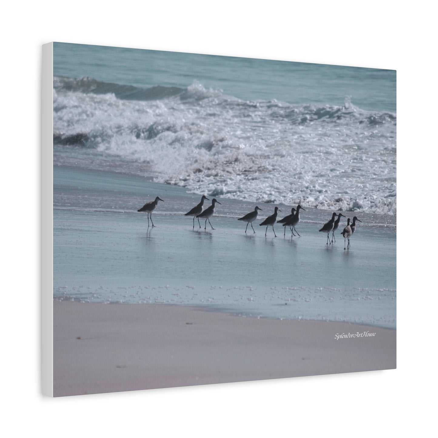 Birds, Matte Canvas, Stretched, 1.25"