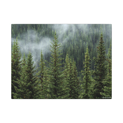 Trees, Matte Canvas, Stretched, 0.75"