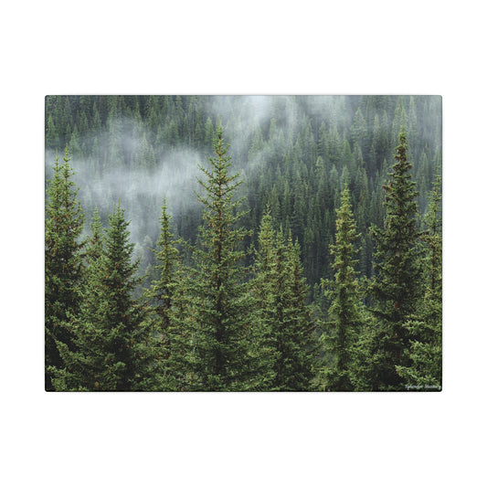 Trees, Matte Canvas, Stretched, 0.75"