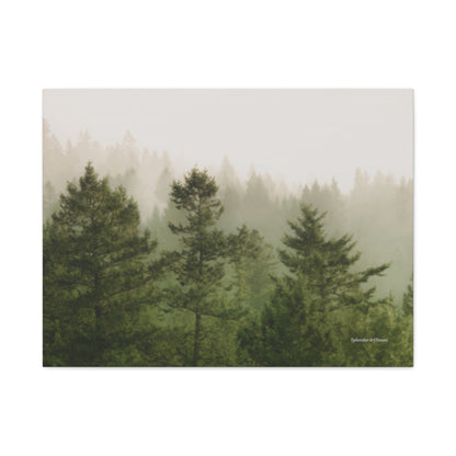 Forest, Matte Canvas, Stretched, 1.25"