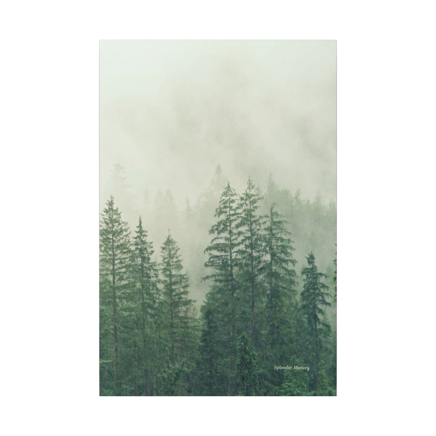 Forest Trees, Matte Canvas, Stretched, 0.75"
