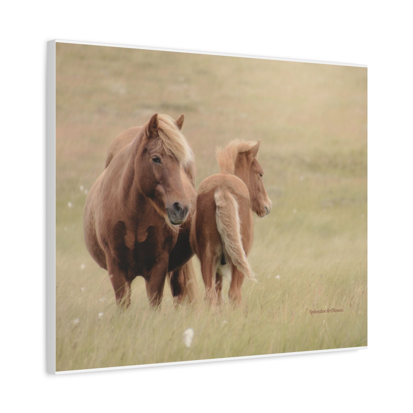 Wild Horses, Matte Canvas, Stretched, 1.25"