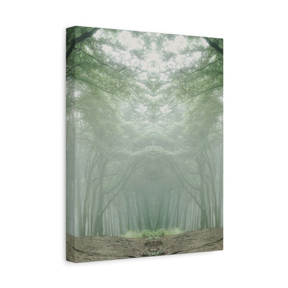 Forest, Matte Canvas, Stretched, 1.25"
