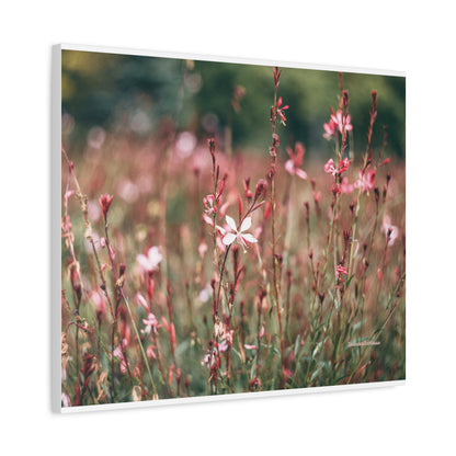 Floral, Matte Canvas, Stretched, 1.25"