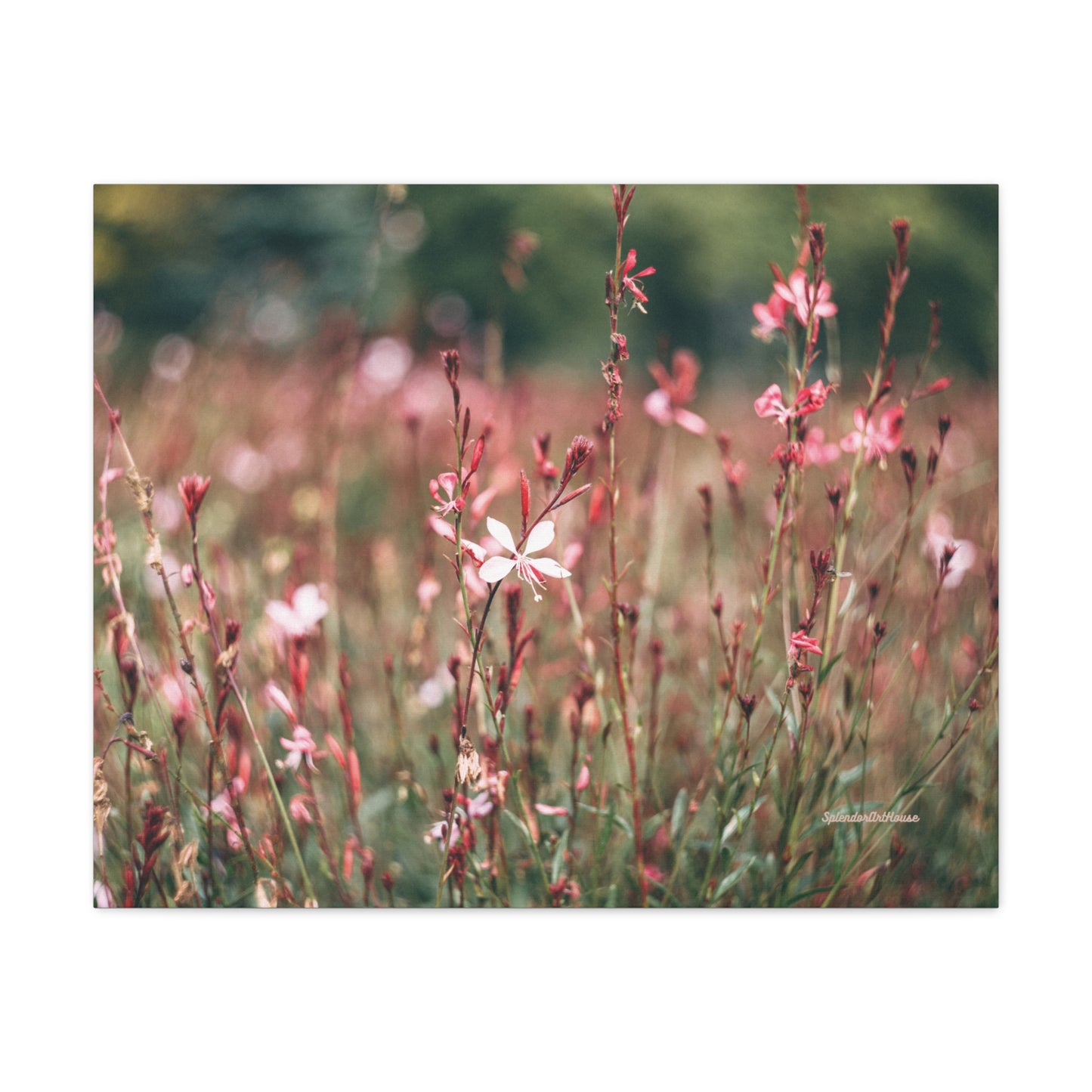 Floral, Matte Canvas, Stretched, 1.25"
