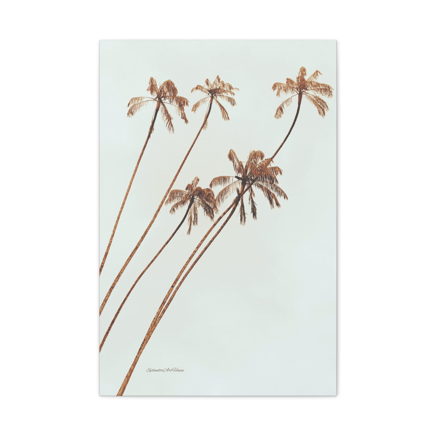 Palm Tree, Matte Canvas, Stretched, 1.25"