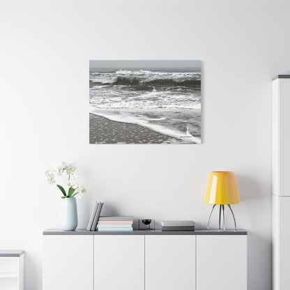 Ocean, Matte Canvas, Stretched, 1.25"
